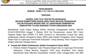 Peserta CPNS Tulang Bawang Diminta Perhatikan Kode Kelulusan, Masa Sanggah Dibuka 13-15 Januari